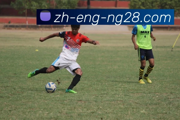 南宫NG28官网APP 体育赛事宣传图